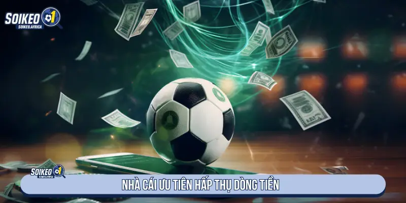 Theo dõi odds và handicap khi phân tích tỷ lệ trong ngày