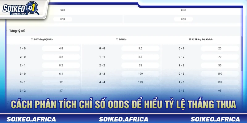 Soi keo nha cai online qua odds và biến động tỷ lệ